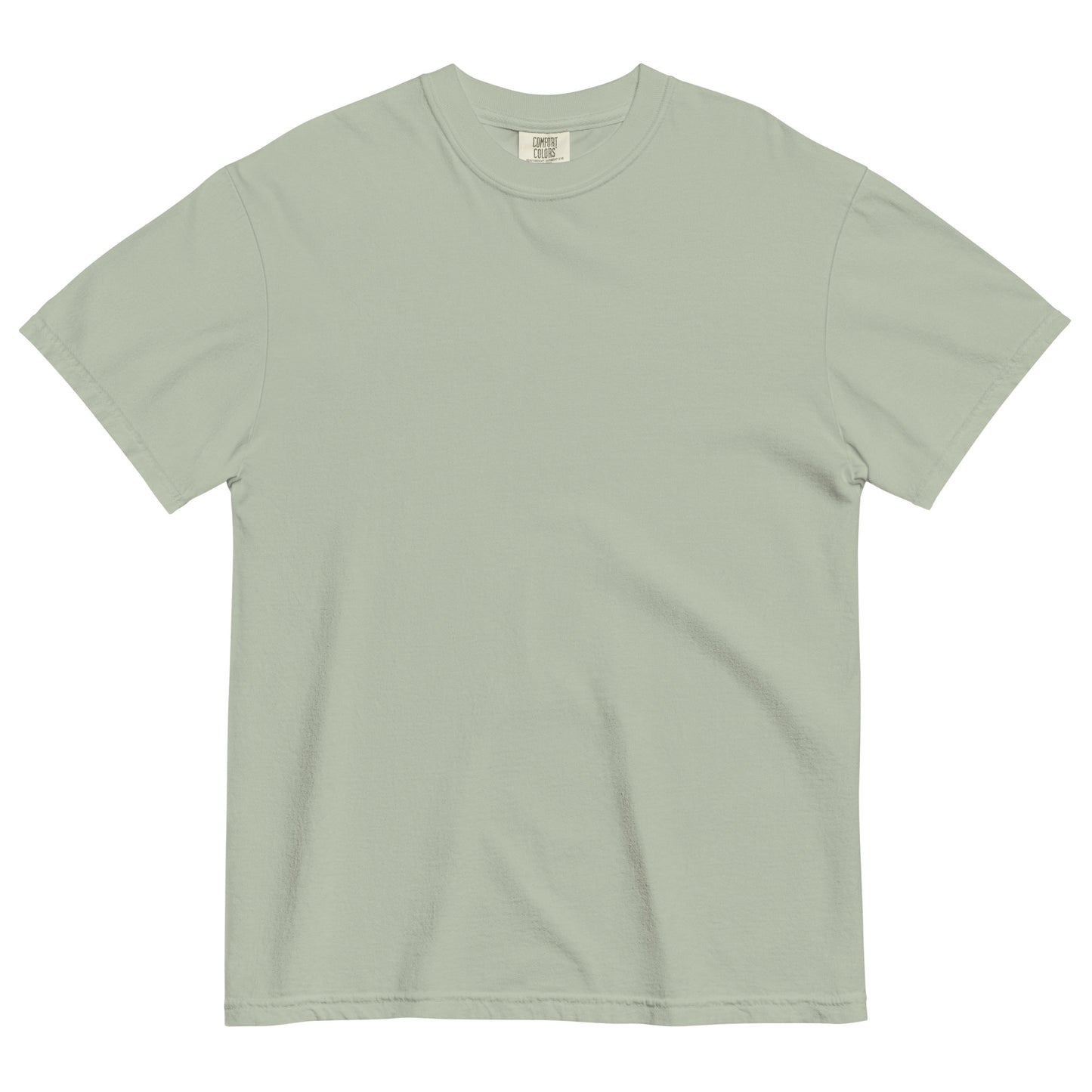 The Future is Anti-Zionist heavyweight tee with bold back print