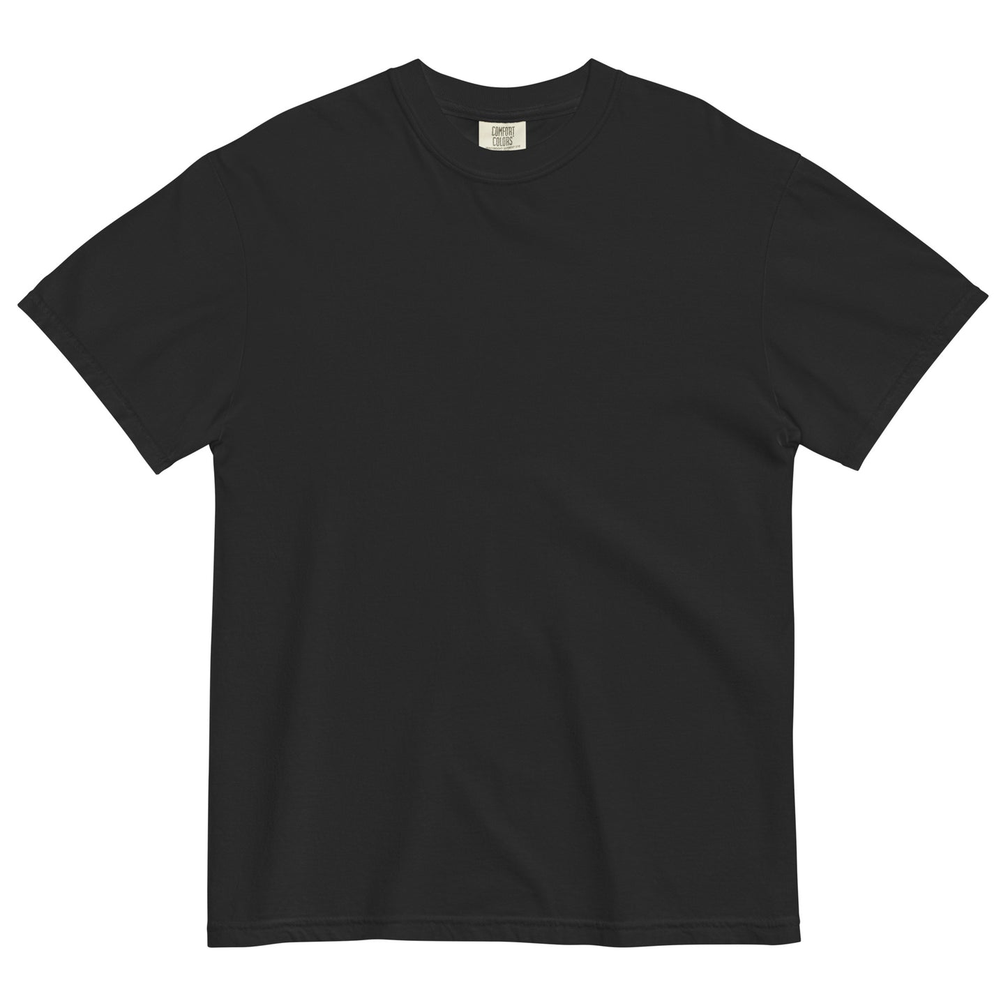 The Future is Anti-Zionist heavyweight tee with bold back print