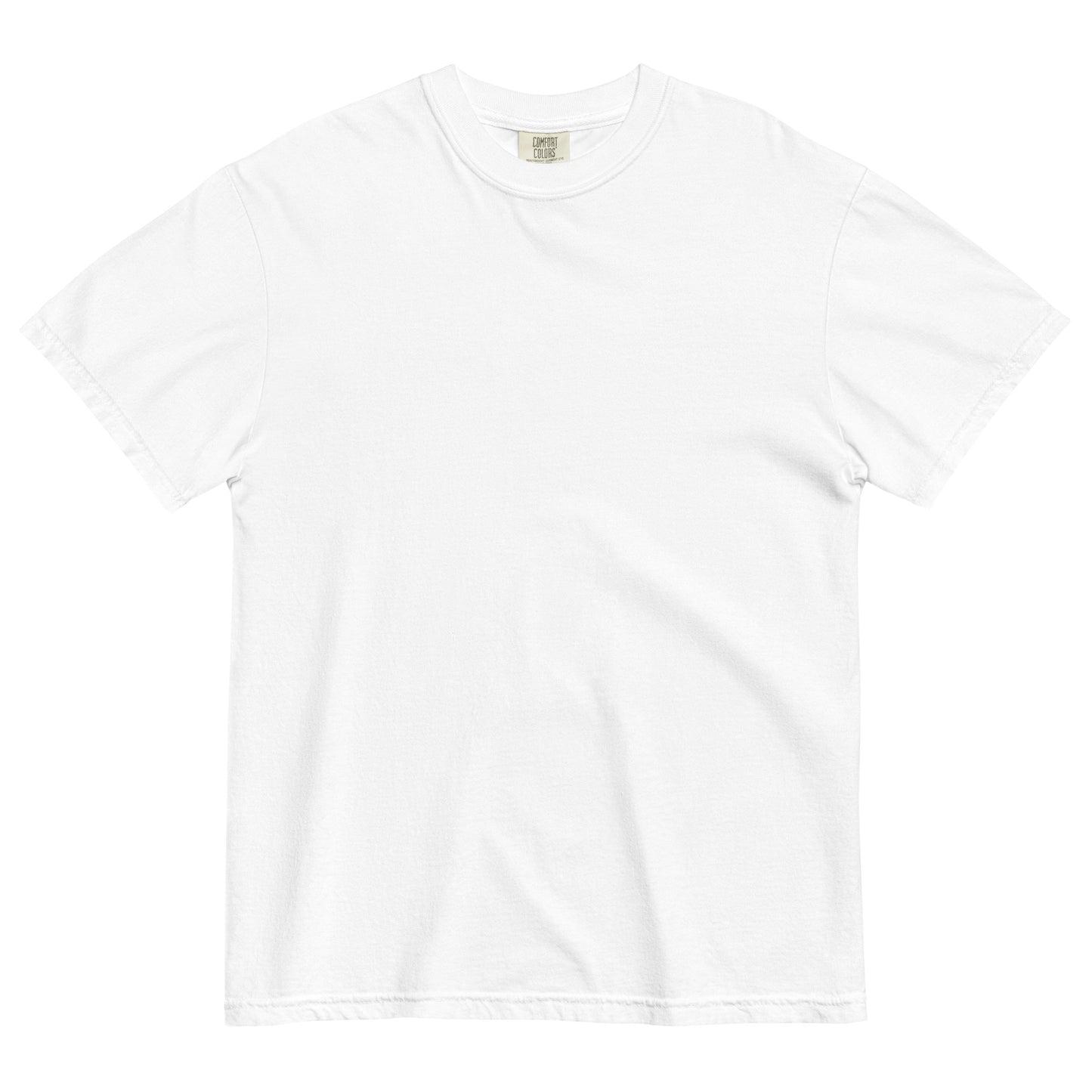 The Future is Anti-Zionist heavyweight tee with bold back print