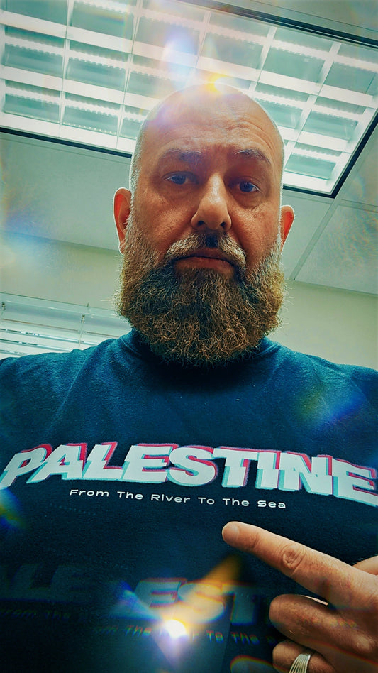 Palestine glitch style black heavyweight t-shirt by Warrior Ink Apparel