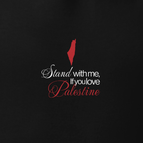 Close-up of STAND WITH PALESTINE hoodie chest graphic