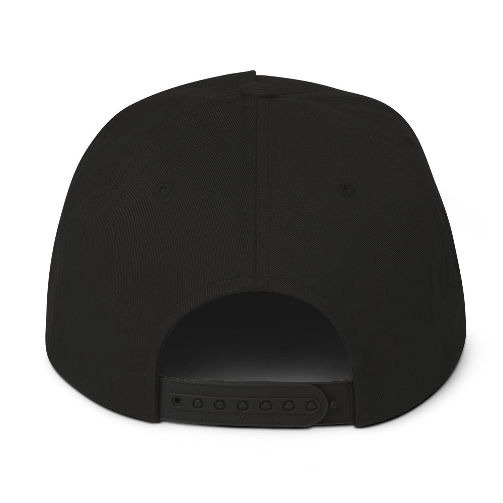 FREEDOM WINGS Palestine Flat Bill Cap with premium DTF print by Warrior Ink Apparel