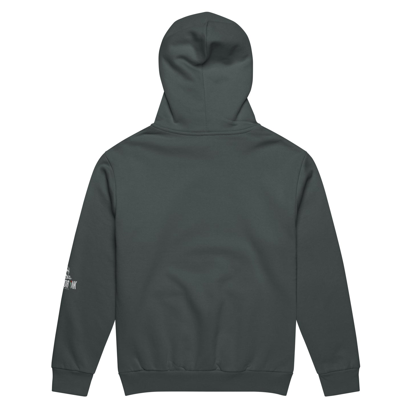 Heavyweight oversized hoodie with bold varsity-style PALESTINE text by Warrior Ink Apparel