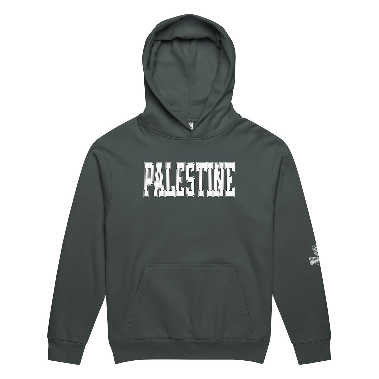 Heavyweight oversized hoodie with bold varsity-style PALESTINE text by Warrior Ink Apparel