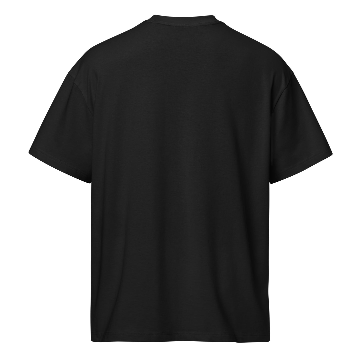 PALESTINE LEBANON CONGO SUDAN Solidarity Boxy Tee by Warrior Ink Apparel
