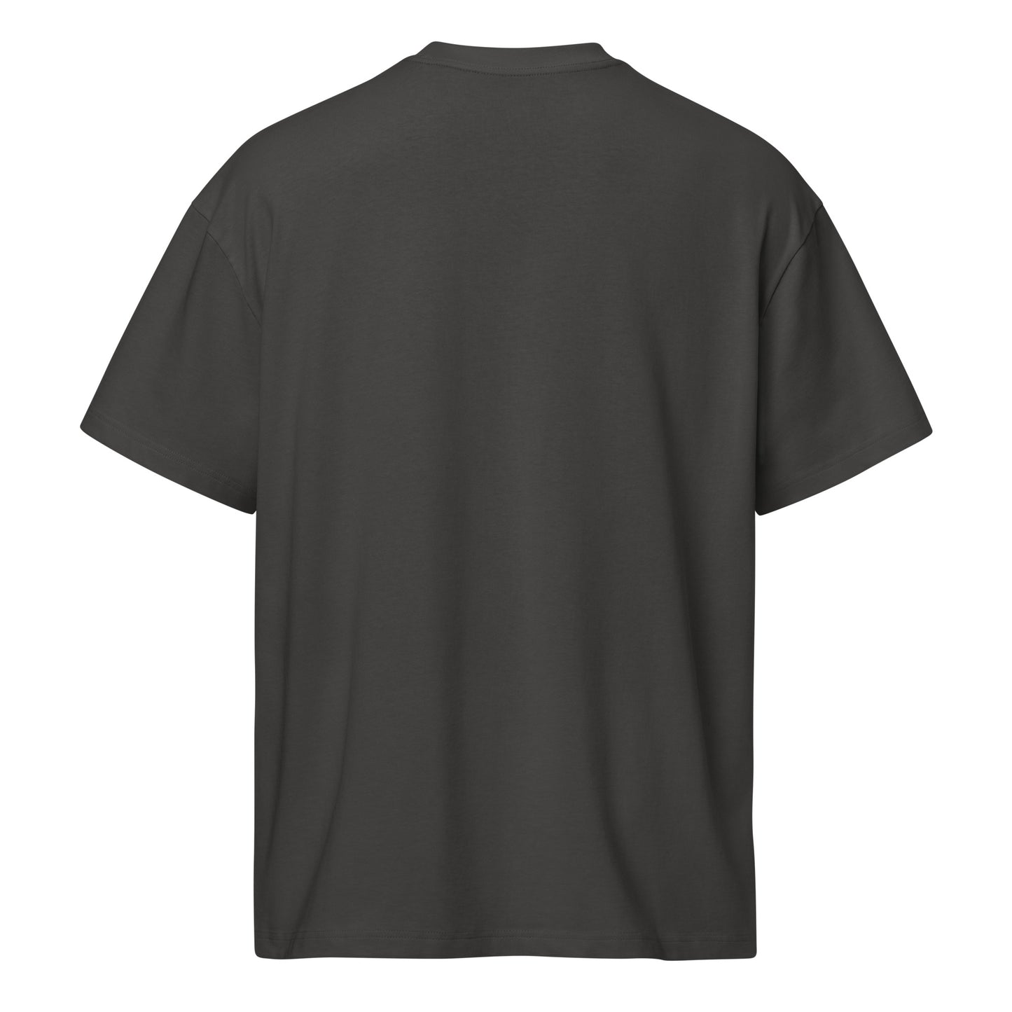 PALESTINE LEBANON CONGO SUDAN Solidarity Boxy Tee by Warrior Ink Apparel