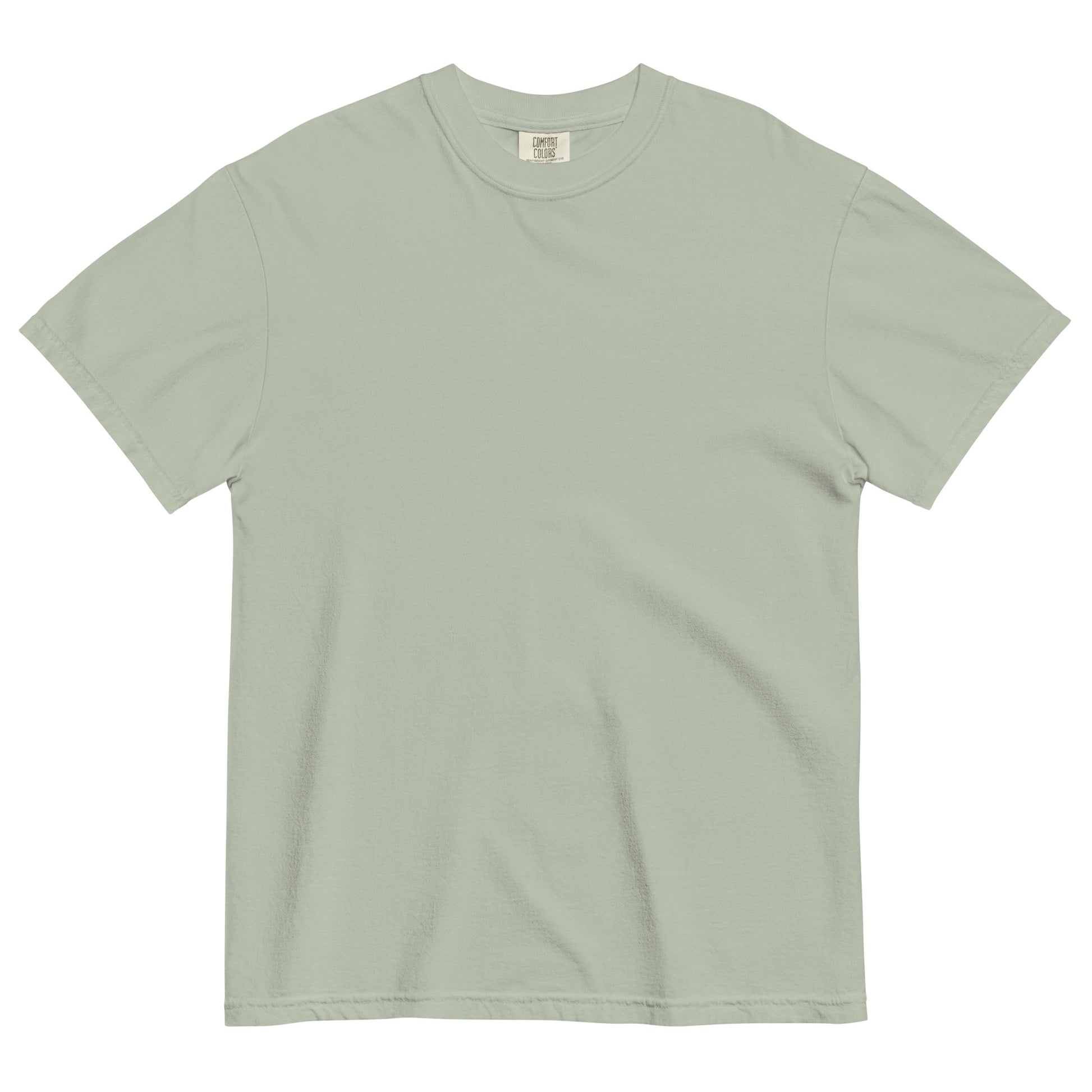 The Future is Anti-Zionist heavyweight tee with bold back print