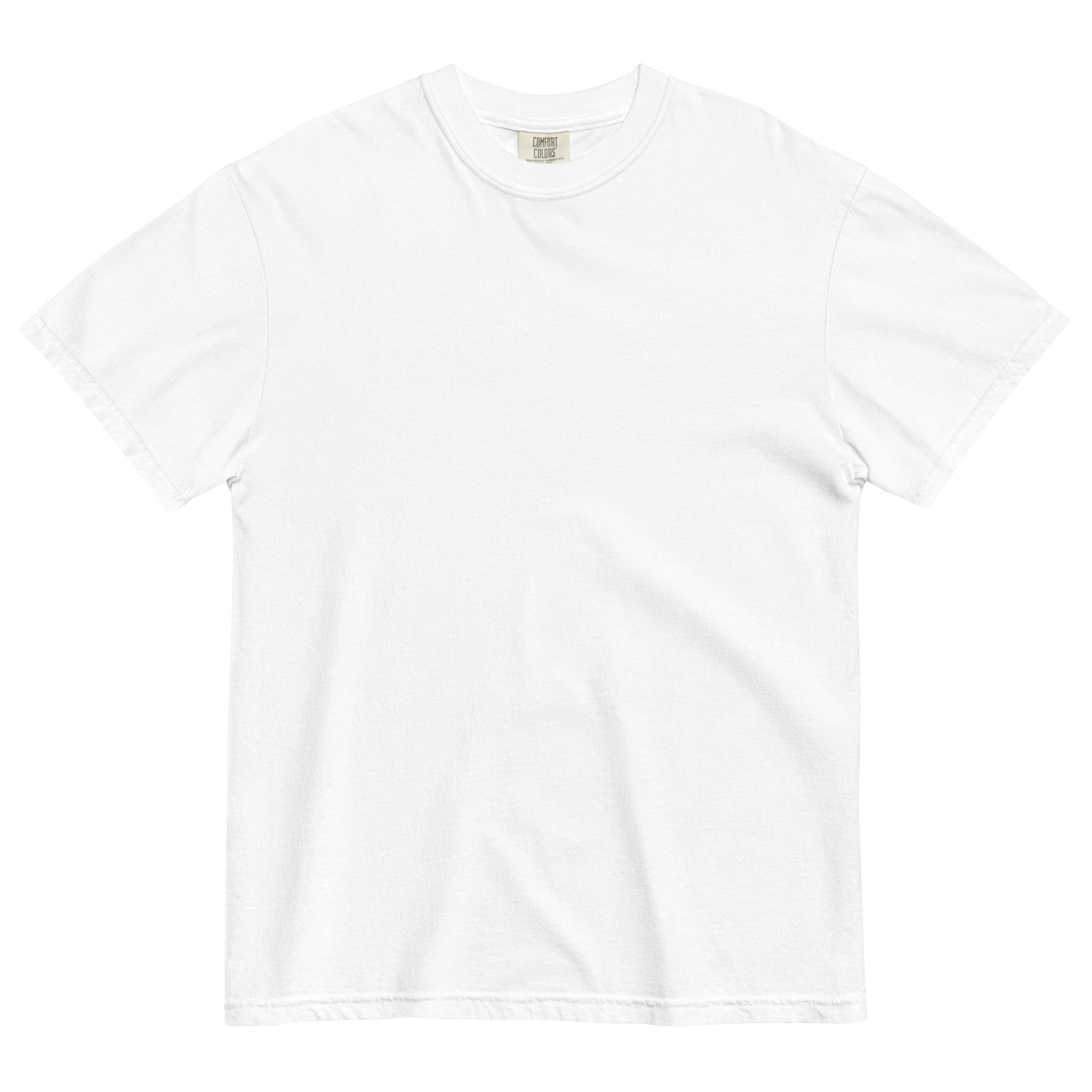 The Future is Anti-Zionist heavyweight tee with bold back print