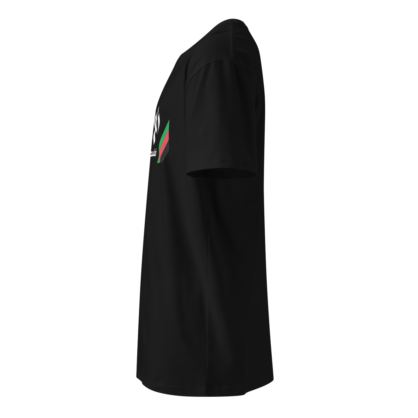 Ramallah, Palestine Unisex premium t-shirt